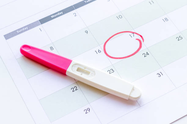 istock Pregnancy test on calendar. Time to check pregnancy day 1334622598