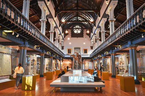 London, United Kingdom - May 24, 2018: Natural History museum, blue whale skeleton.