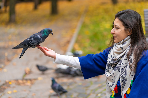 The person is holding a dove on the hand. Feeds pigeons in the park. Tame a pigeon.