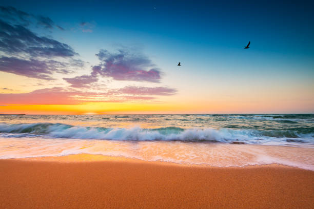 istock Colorful sunrise over tropical beach and sea with dramatic cloudscape 1334627718