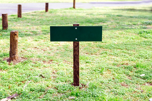 Small green wooden sign for mockup. Copy space.