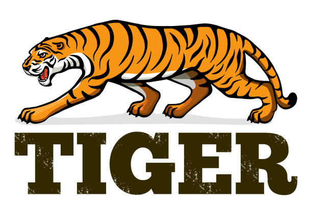 1,288 Royal Bengal Tiger Cartoons Illustrations & Clip Art - iStock