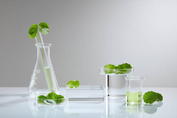 istock Centella asiatica (gotu kola) background Cosmetics laboratory 1334630706