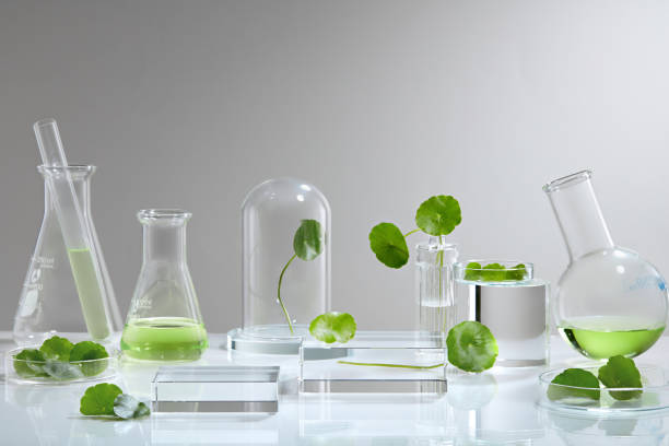 istock Centella asiatica (gotu kola) background Cosmetics laboratory 1334630709