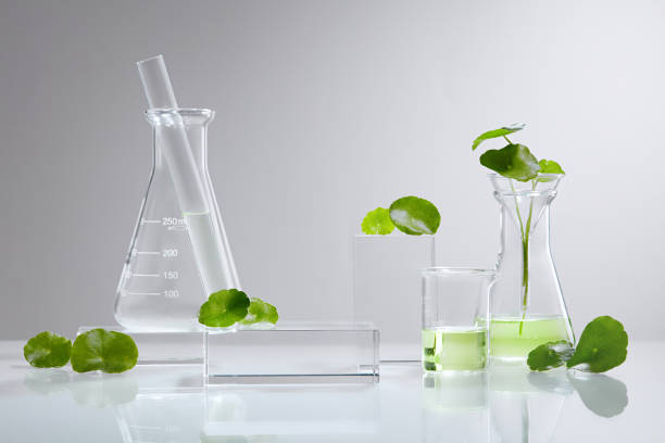 istock Centella asiatica (gotu kola) background Cosmetics laboratory 1334630743