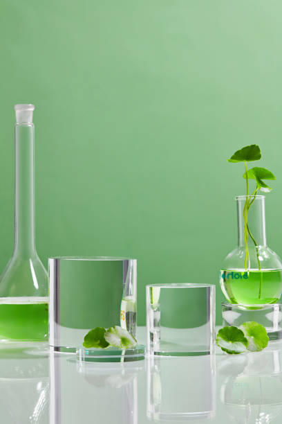 istock Production of cosmetics based on Centella asiatica . 1334630847