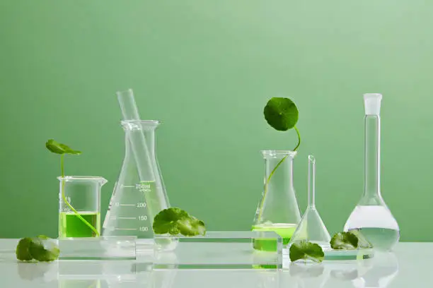 Photo of Production of cosmetics based on Centella asiatica .