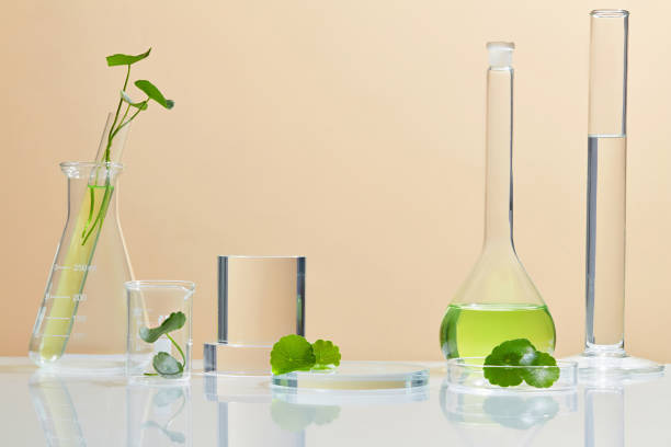 istock Background Cosmetic laboratory research and development with centella asiatica (gotu kola) 1334630872