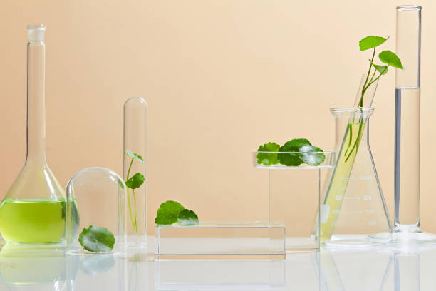istock Background Cosmetic laboratory research and development with centella asiatica (gotu kola) 1334630878