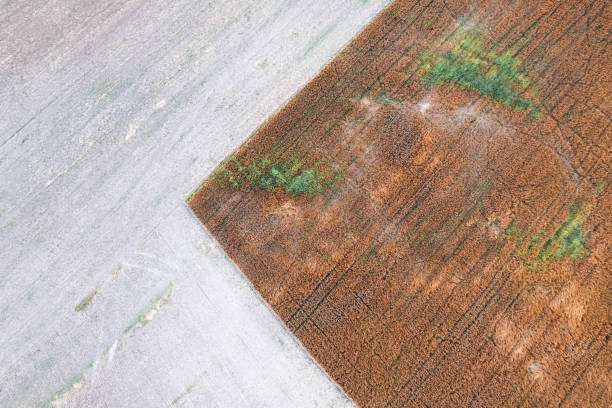 istock Interesting pattern on a rural countryside crop field 1334632075