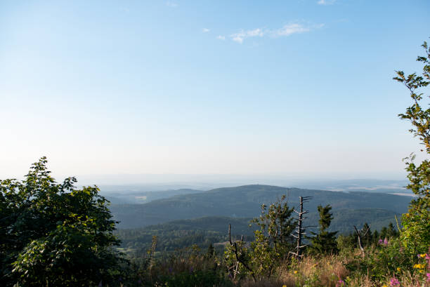 scena krajobrazowa w lecie. szeroki widok z feldberg hochtaunus. - non urban scene landscaped clear sky germany zdjęcia i obrazy z banku zdjęć