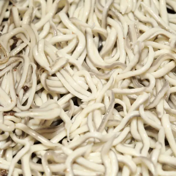 Photo of Gulas, popular seafood in the north of Spain, a cheaper substitute of very expensive juvenile fish of Eels called angula.