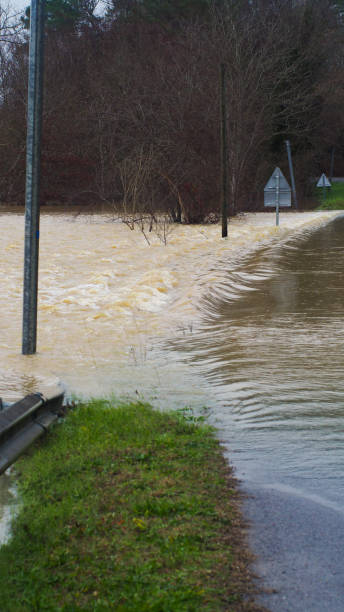 istock Midouze in flood, in the Landes 1334635658