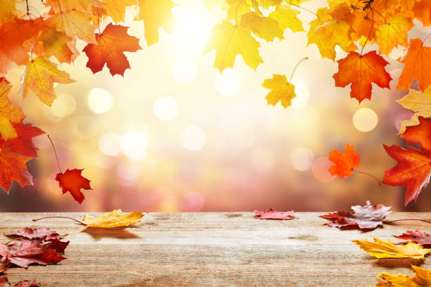 istock Wooden table top on blur autumn background 1334636337