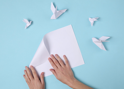 Las manos femeninas doblan las palomas de origami sobre un fondo azul. Vista superior photo