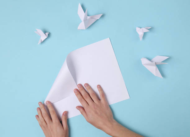 las manos femeninas doblan las palomas de origami sobre un fondo azul. vista superior - folding hands fotografías e imágenes de stock