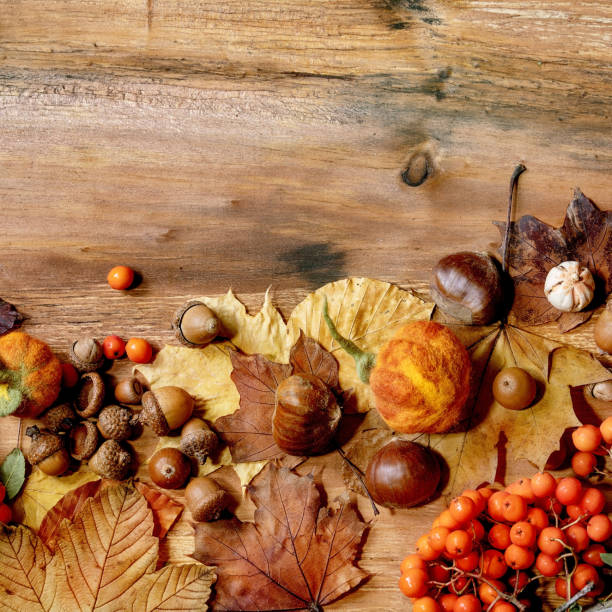 istock Autumn seasonal background 1334641193