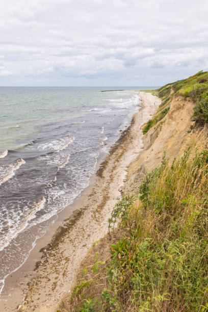 istock Cliffs and beach at Ahrenshoop on the German Baltic Sea coast 1334642749