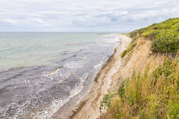 istock Cliffs and beach at Ahrenshoop on the German Baltic Sea coast 1334643598