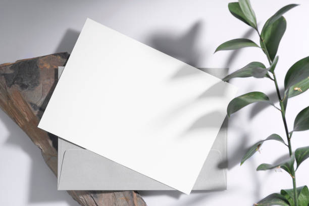 istock Mockup white greeting paper card with envelope and green leaf. for mock-up design template. 1334644855