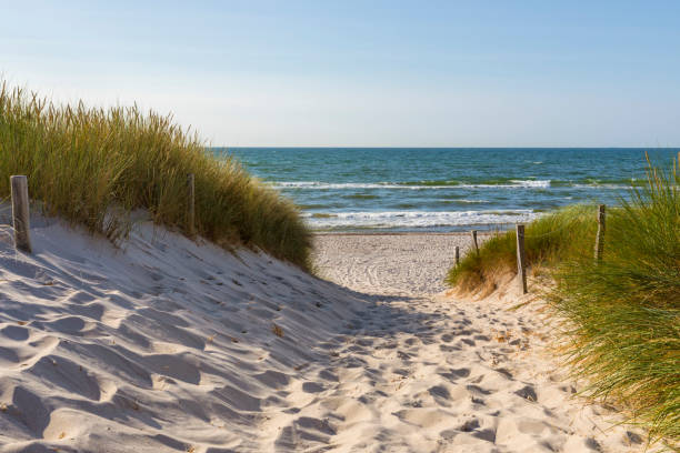 Access to Baltic Sea Beach at Graal-Müritz, Mecklenburg Western-Pomerania Access through the dunes to Baltic Sea Beach at Graal-Müritz, Mecklenburg Western-Pomerania, Germany baltic sea stock pictures, royalty-free photos & images