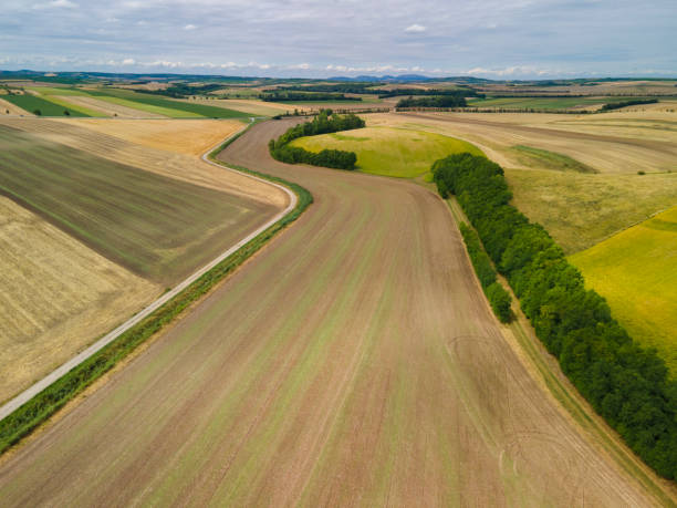 istock Cultivated Farm Fields in Summer Season Aerial Drone View 1334644929