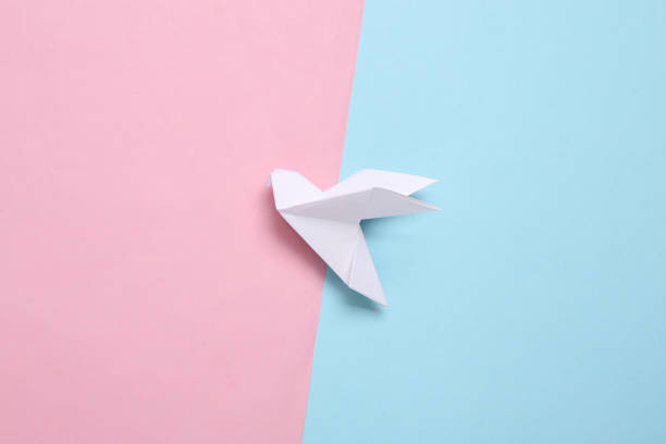 istock Origami dove on a blue-pink pastel background. Top view 1334645296