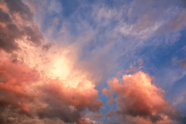 istock Dramatic pink, purple and blue cloudy sunset sky through spruce tree branches. Cloudscape. Bright nature wallpaper. Heaven. Colorful backdrop. After storm. Springtime. Cumulus clouds. Presence effect 1334647398