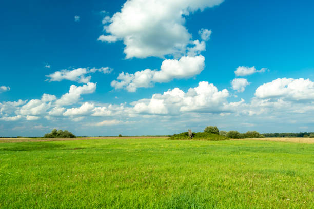 istock Green meadow and white clouds on the blue sky 1334648784
