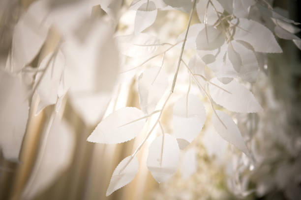 istock Beautifully decorated and arranged flowers at a wedding 1334649214