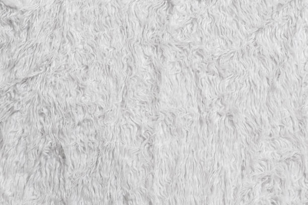istock White furry fabric decorated the background. 1334649220