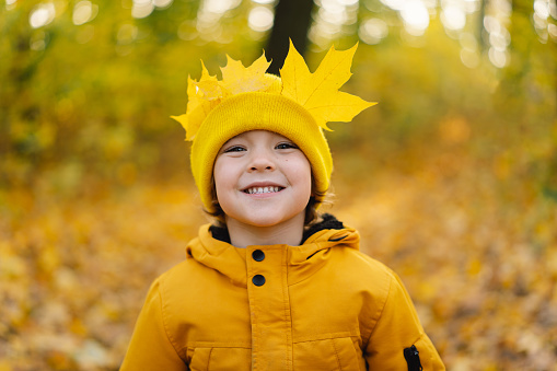 A little boy in a yellow hat and jacket walks through the autumn forest. Happy little child baby boy laughing and playing in the autumn day. Children are active in nature