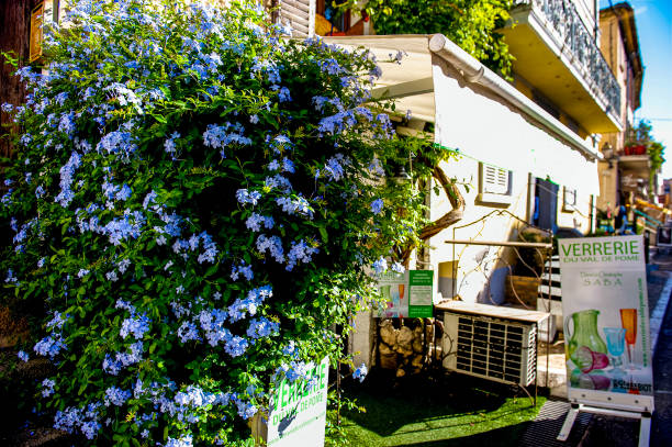 Wall of flowers Beautiful, colorful flowers along a wall in the ancient hill town of Biot, France along the Mediterranean Sea. biot stock pictures, royalty-free photos & images