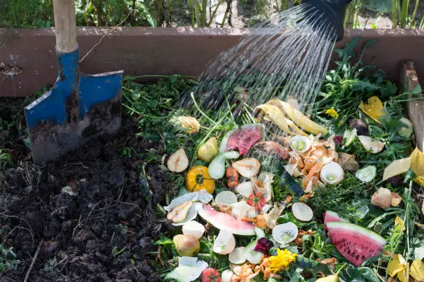 Photo of Worker watering compost box outdoors full with garden browns and greens and food  wastes, blue shovel in the soil