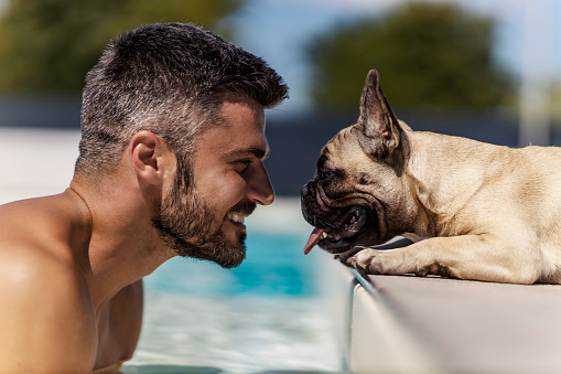 El perro y su dueño están en la piscina Un sonriente hombre de mediana edad con una cara guapa se refresca en la piscina en un soleado día de verano mientras mira directamente a los ojos de su perro acostado junto a la piscina photo