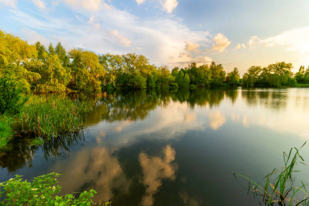 istock Beautiful lake in the summer 1334656436