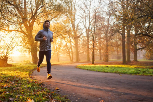 Adult male runner in park at autumn sunrise stock photo
