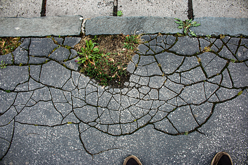 Old cracked asphalt surface. Background or texture.