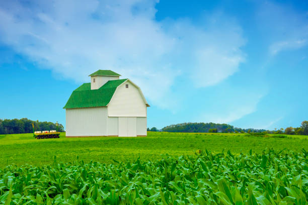 istock Corn Field with Barn in the background-Clinton County Indiana 1334659618