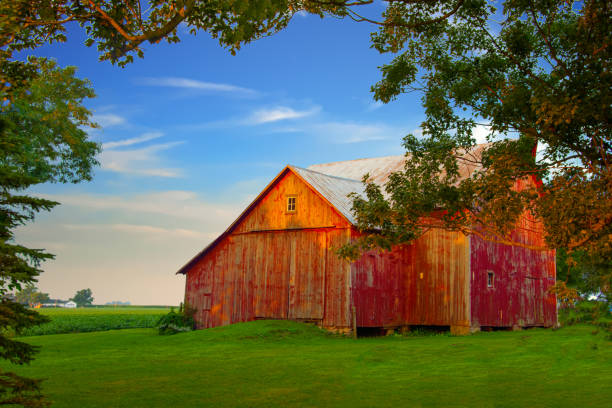 istock Barn-Red barn-Tipton County Indiana 1334659619