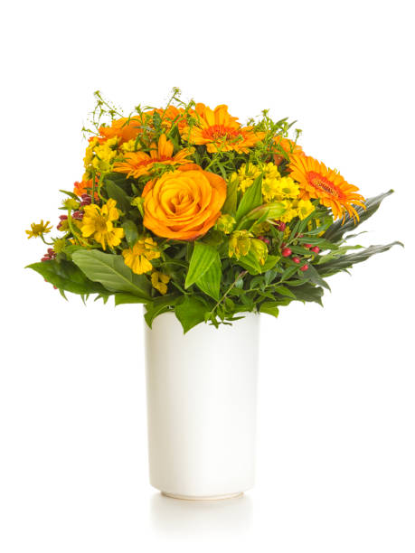 herbstlicher blumenstrauß in vase isoliert auf weiß - bouquet flower autumn vase stock-fotos und bilder