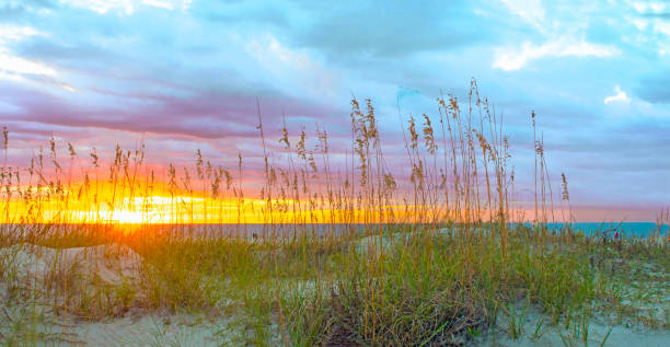 istock Sunrise-Hilton Head Island-South Carolina 1334661218