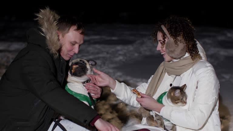 Happy woman with cat feeding pug dog pizza on male hands. Couple lovers with domestic pets having fun ontdoor on dark winter evening.