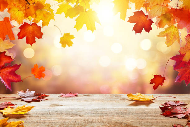 istock Wooden table top on blur autumn background 1334664664