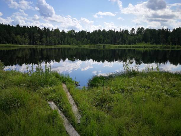 istock Summer day in the forest with a lake and clouds 1334665440