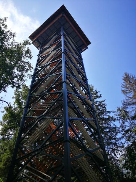 istock BIRD watching tower in Kangari, Latvia 1334665598