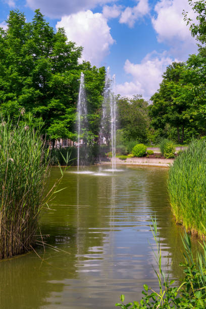 istock Lake in a park in Beilngries 1334665655