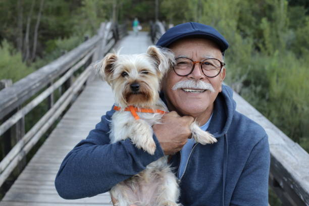 istock Ethnic senior man with small dog in the park 1334668252