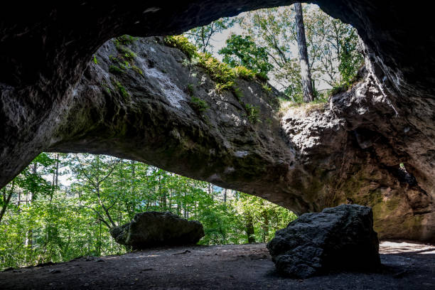 istock Entrance Of A Cave With View To Forest 1334668458