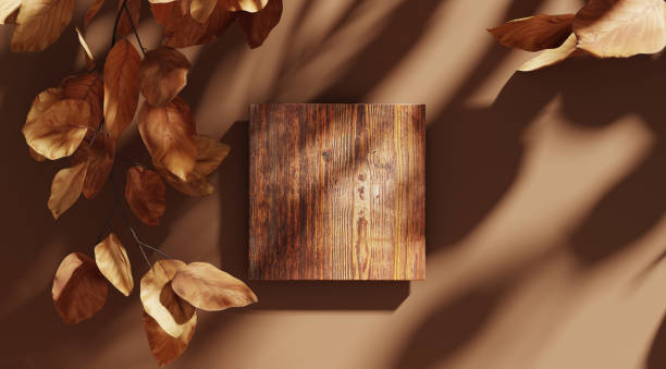 3D background, wood display flat lay podium on natural brown backdrop and dry leaf shadow. Product promotion beauty cosmetic autumn showcase. Studio wooden platform with copy space 3D render. Social media or online shop banner for product promotion wooden bleachers stock pictures, royalty-free photos & images